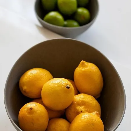 Ziedondarza Park One Bedroom With Balcony Apartman Riga