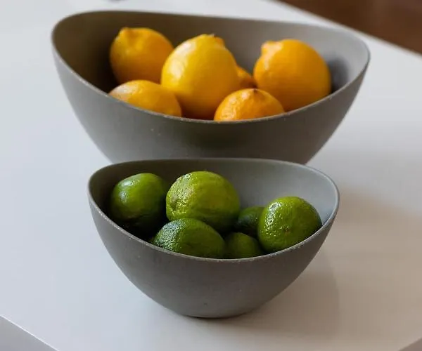 Ziedondarza Park One Bedroom With Balcony Riga