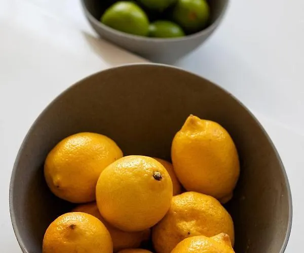 Ziedondarza Park One Bedroom With Balcony Apartment Riga