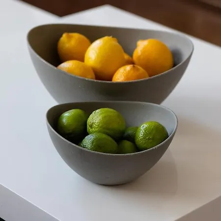 Ziedondarza Park One Bedroom With Balcony Riga